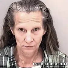 Tammy Shaw booking photo