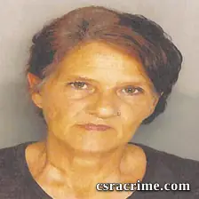 Tammy St. Clair booking photo
