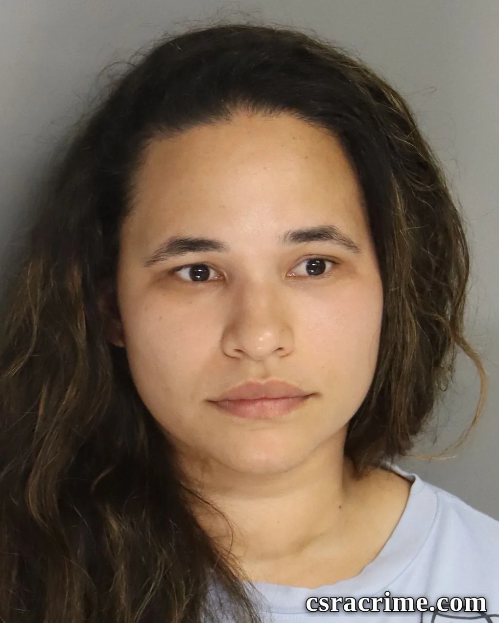 Tania Torres Rivera booking photo