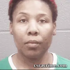Tanya Jenkins booking photo