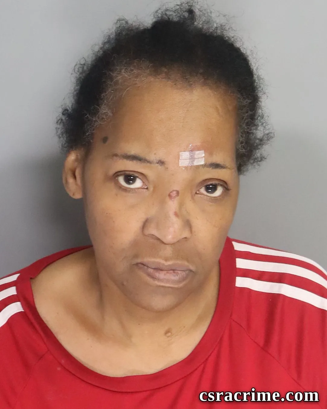 Tanya Porter booking photo