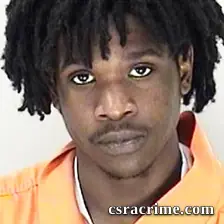 Tarri Lloyd booking photo