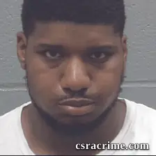 Taryn Ivey booking photo
