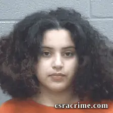 Tatiana Polanco booking photo