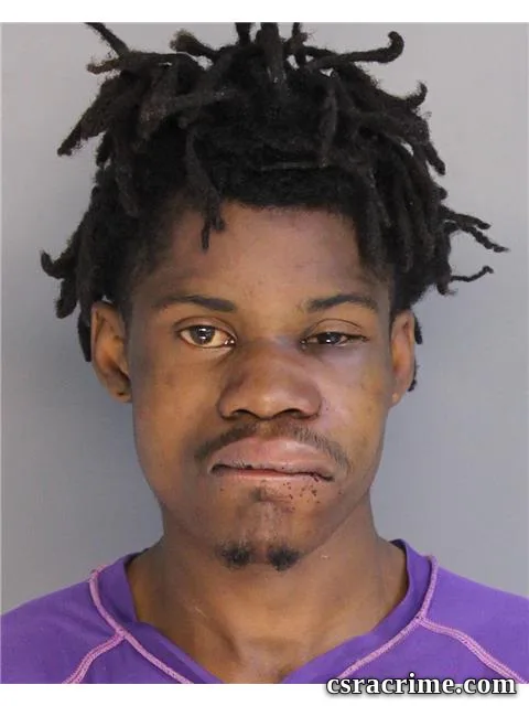 Tavon Patterson booking photo
