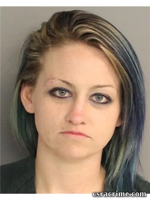 Taylor Spires booking photo