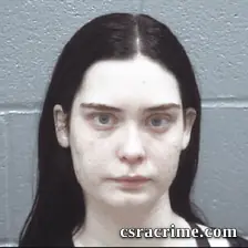 Taylor Wood booking photo