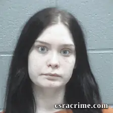 Taylor Wood booking photo
