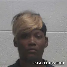 Tera Natasha Brooks booking photo