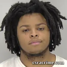 Terell Johnson booking photo