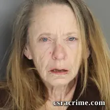 Teresa Allman booking photo