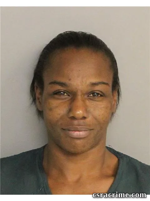 Teresa Bacon booking photo