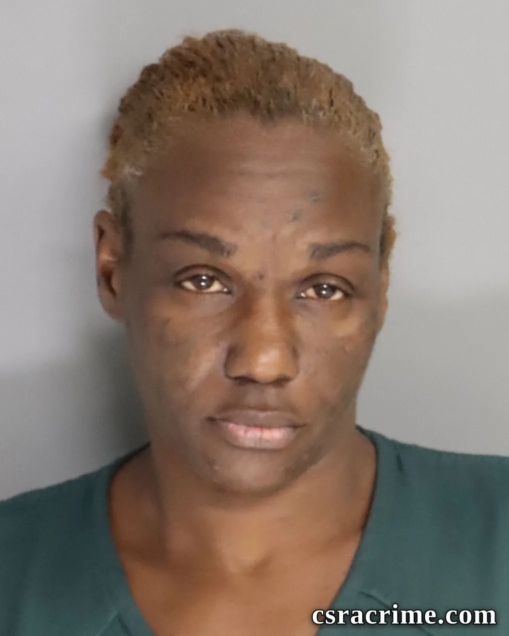 Teresa Bacon booking photo