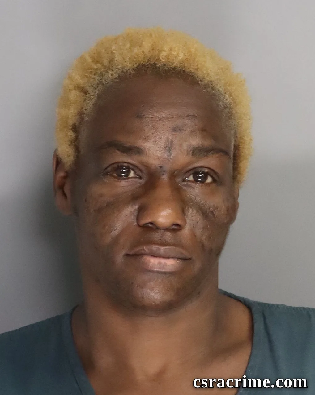 Teresa Bacon booking photo