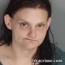 Teresa Banks booking photo