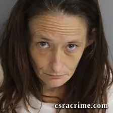 Teresa Carroll booking photo