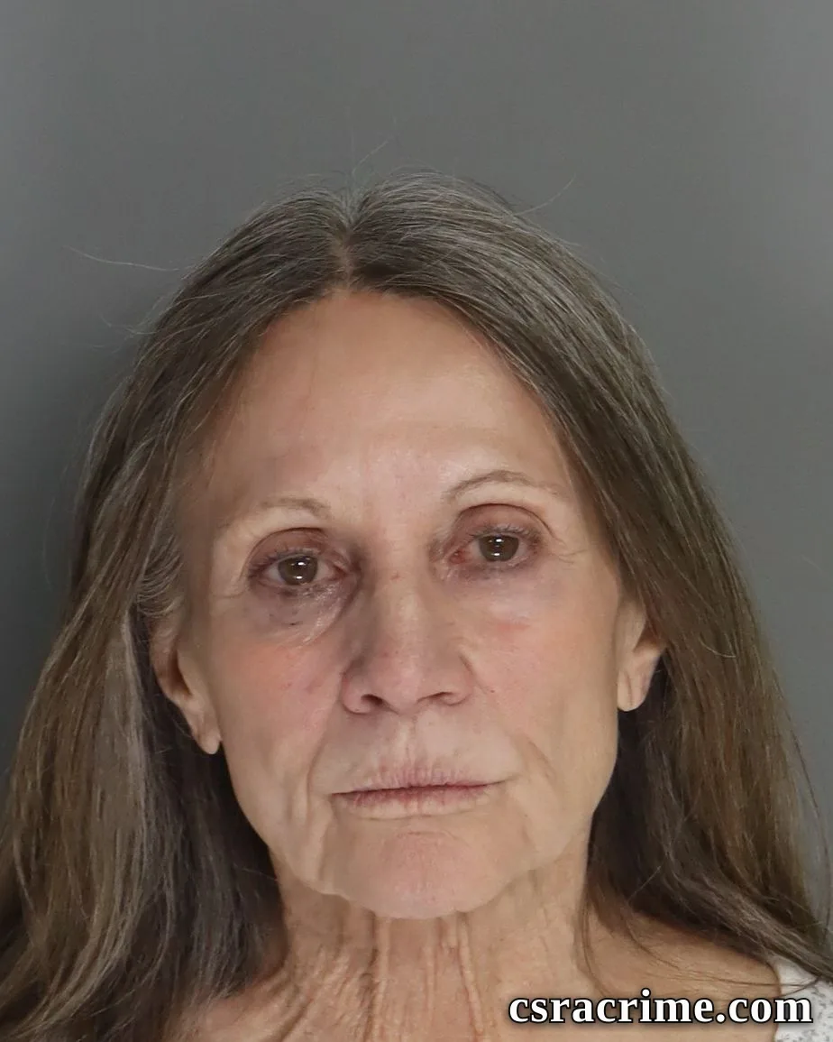 Teresa Chapman booking photo