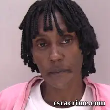 Teresa Geter booking photo