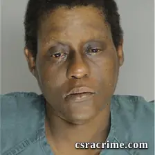 Teresa Ramsey booking photo
