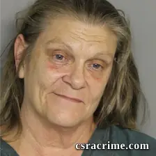 Teresa Reese booking photo