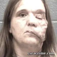 Teresa Robinson booking photo