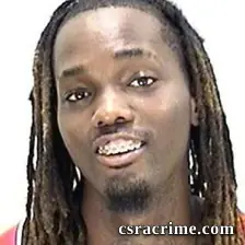 Terez Miller booking photo