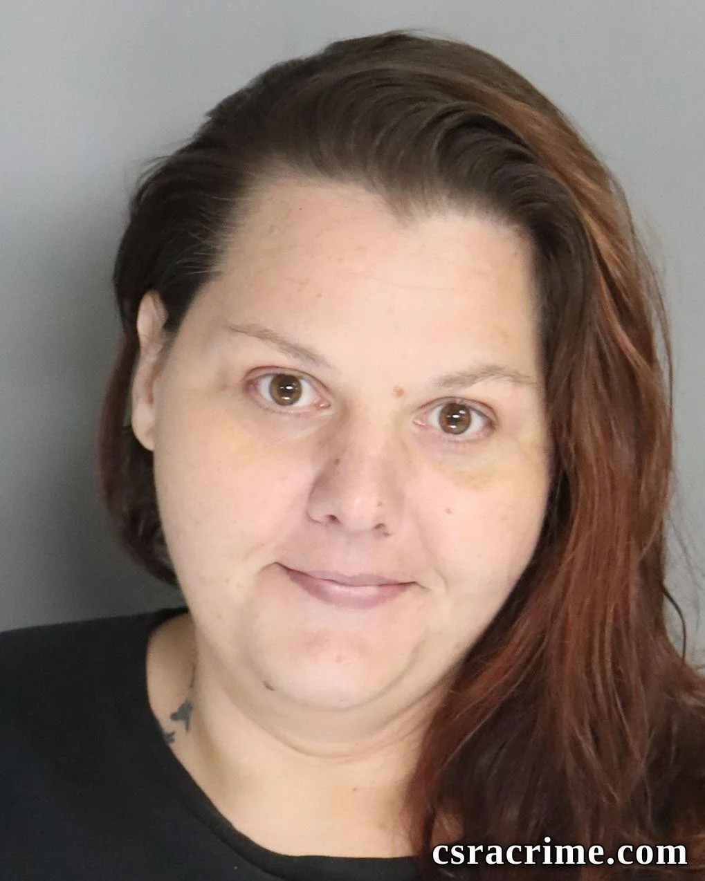 Teri Difranco booking photo