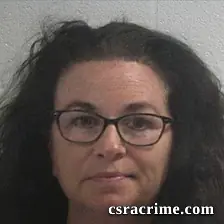 Teri Lynn Doyle booking photo