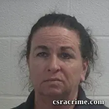 Teri Lynn Doyle booking photo