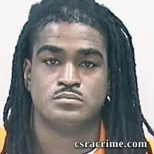 Terrance Landers booking photo