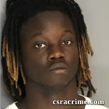 Terrell Young booking photo