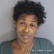 Terri Long booking photo