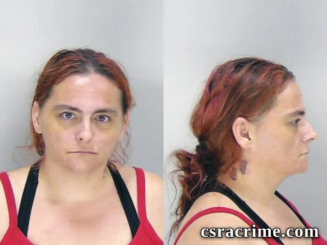 Terri Maddox booking photo