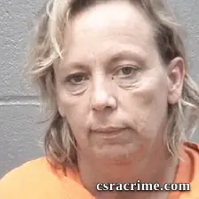 Terri Mock booking photo