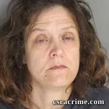 Terri Shaw booking photo