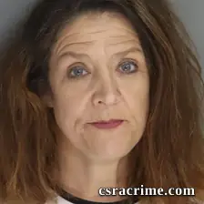 Terri Shaw booking photo