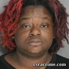 Terriana Wideman booking photo