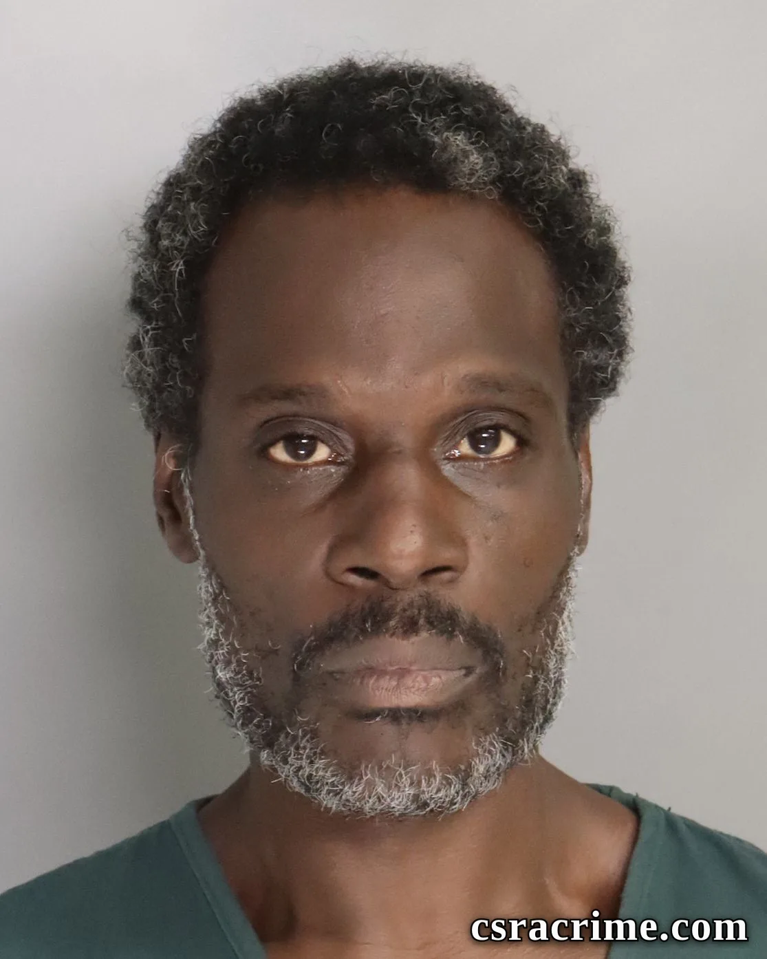 Terry Lewis booking photo