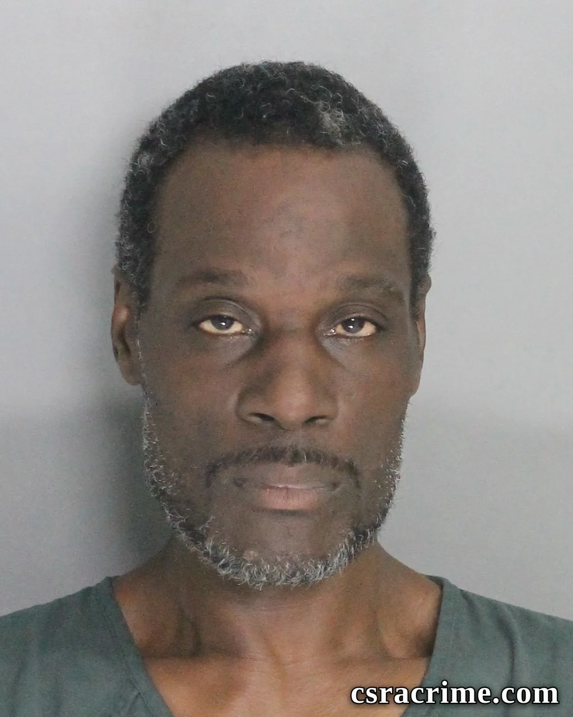 Terry Lewis booking photo