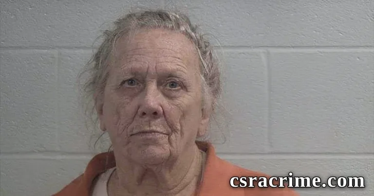 Terry Lynn Hiott booking photo