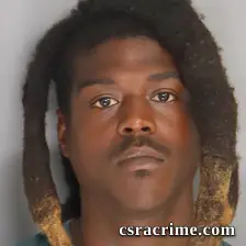 Thaddeus Perry JR booking photo