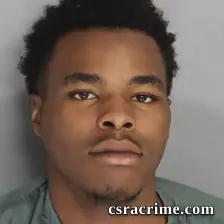 Theo Hayes booking photo