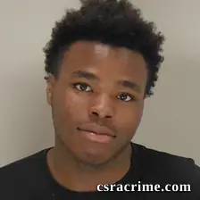 Theo Hayes booking photo