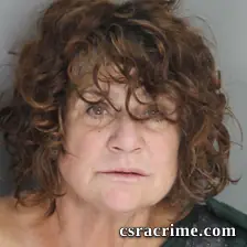 Theresa Higgitt booking photo