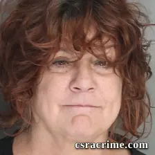 Theresa Higgitt booking photo