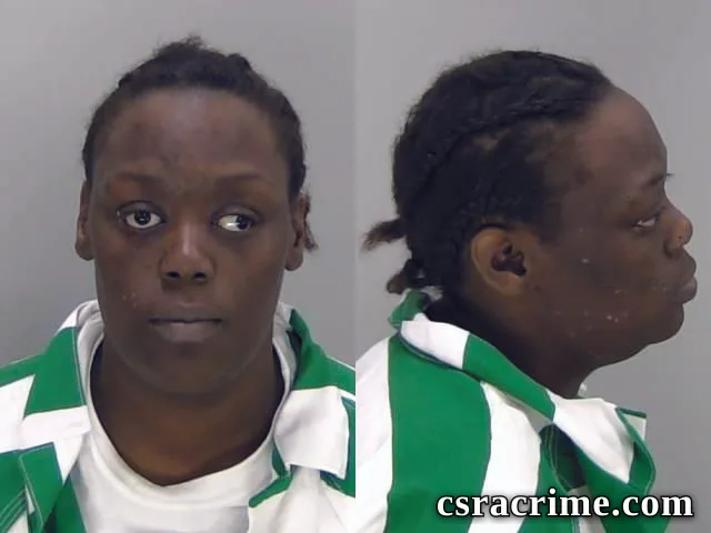 Theresa James booking photo
