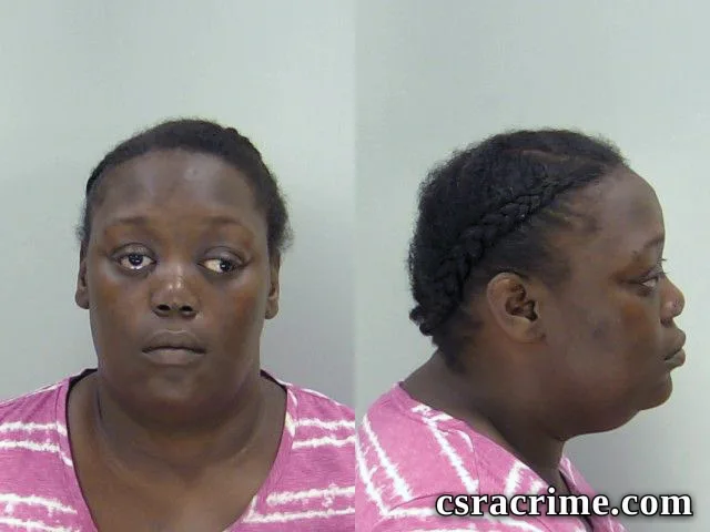 Theresa James booking photo
