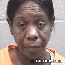 Theresa Johnson booking photo