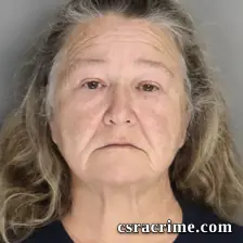 Theresa Kaney booking photo