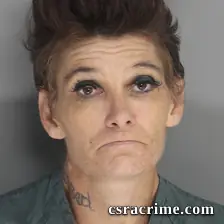 Theresa Pflug booking photo